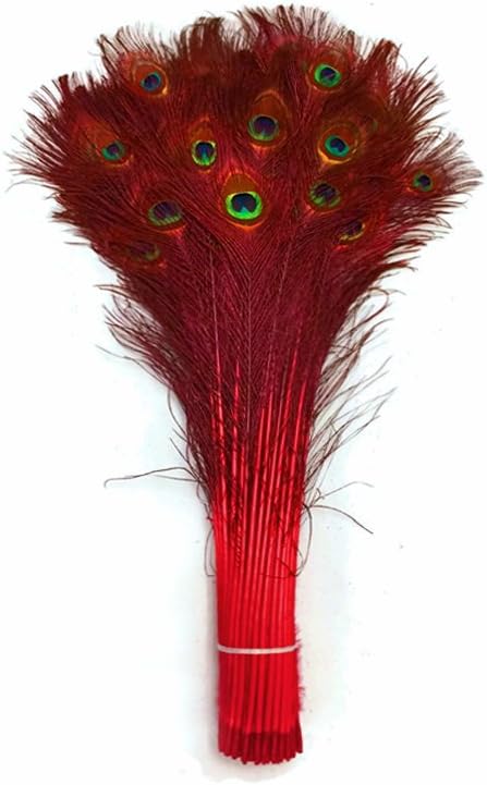 The Allure of Peacock Feathers A Symbiotic Relationship Between Beauty and Biology