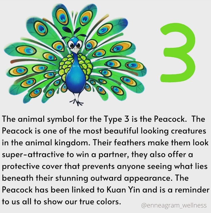 The Enigmatic Personality of the Peacock